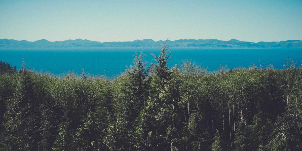 Student participating in a co-op work placement at a Canadian company