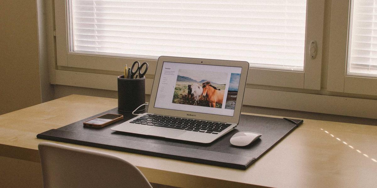 Employment Insurance online application form on computer screen