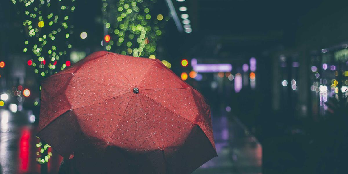Person reviewing BC Provincial Nominee Program eligibility requirements